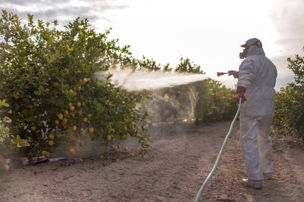 Best Wasp Removal Services  in Blythewood, SC
